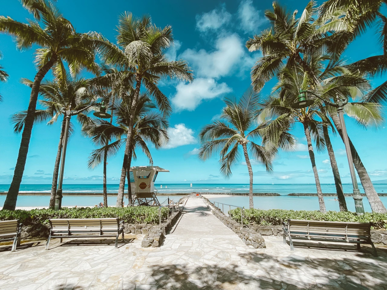 Ein Strand mit Palmen auf Hawaii