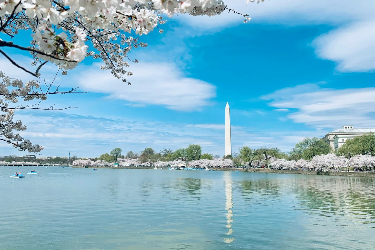 Blick auf das Washington Monument in den USA